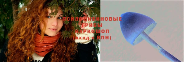 винт Богородск