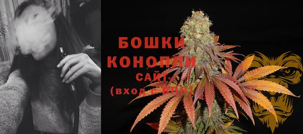 дживик Беломорск
