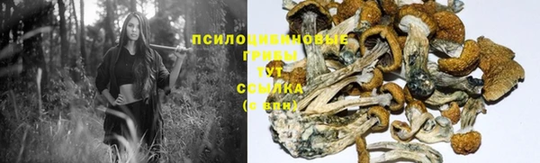 МДМА Белокуриха