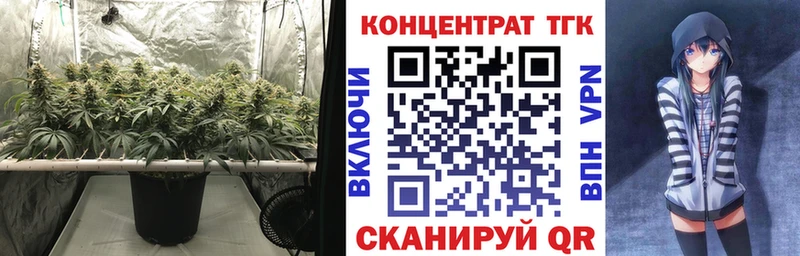 ссылка на мегу вход  Гороховец  Дистиллят ТГК THC oil 